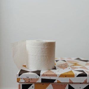 Toilet Paper Rolls